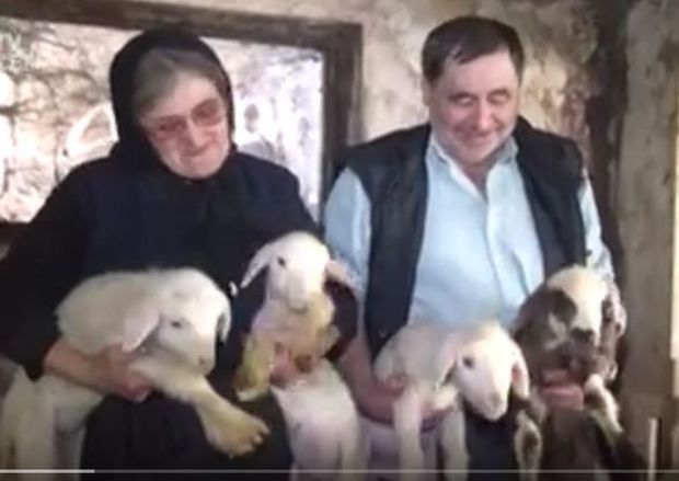 Овца ојагњила четири јагњета (ВИДЕО)