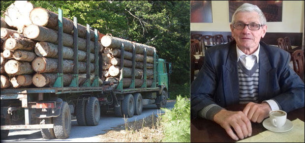 Сваке године по шума мање