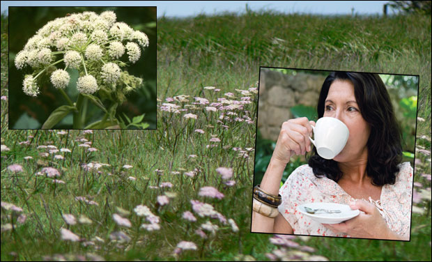 Копрењак - дар Старе планине