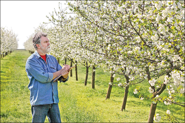 Како до подлога сејанаца?