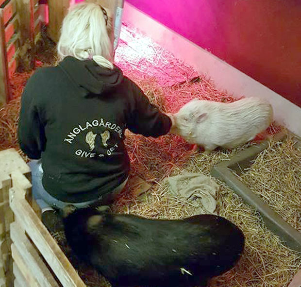 Проглашена расистом јер је бранила имовину од миграната