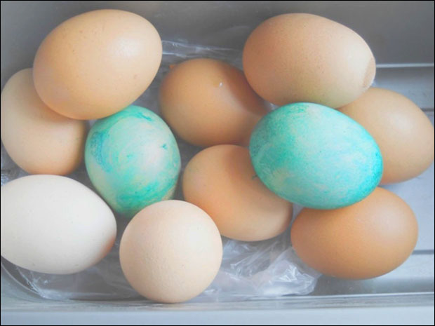 Зелена јаја посвађала комшилук