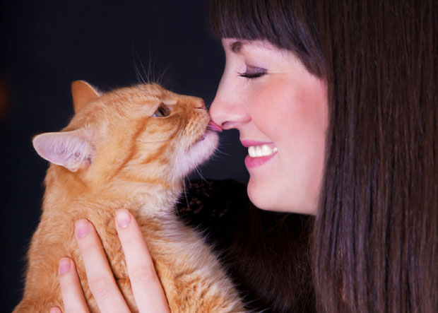 Зашто мачке лижу власнике?