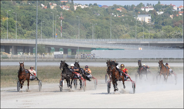 Хиподром остаје на Царевој ћуприји! 