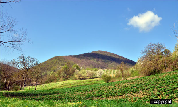 АВАНТУРА И ХОДОЧАШЋЕ: Поклонички круг стјеничком Светом гором
