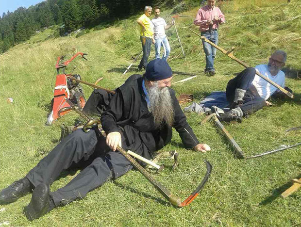 Фабрика хране око Божјег дома