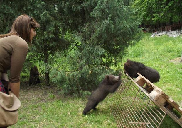 Палић: Враћају животиње у живот