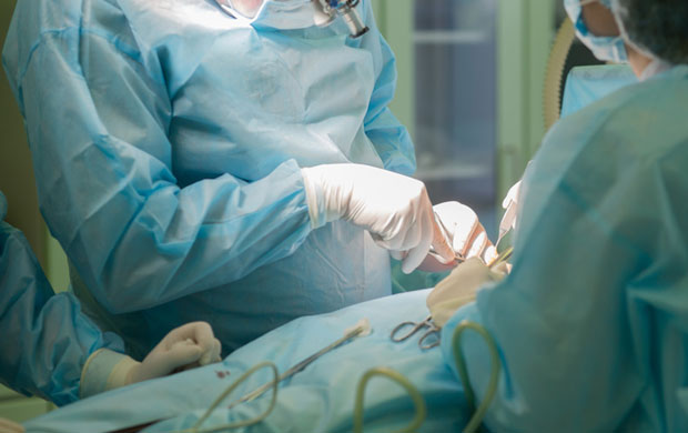 Од почетка године девет трансплантација коштне сржи код деце