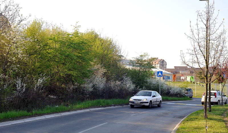 Сваки коров има свог газду!