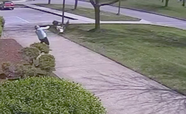 ПОГЛЕДАЈТЕ: Полицајац се једва спасио од љуте гуске