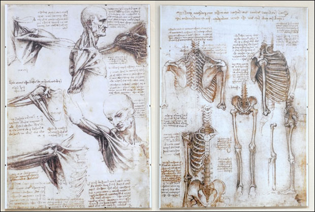 Београдске приче: Музеј анатомије човека