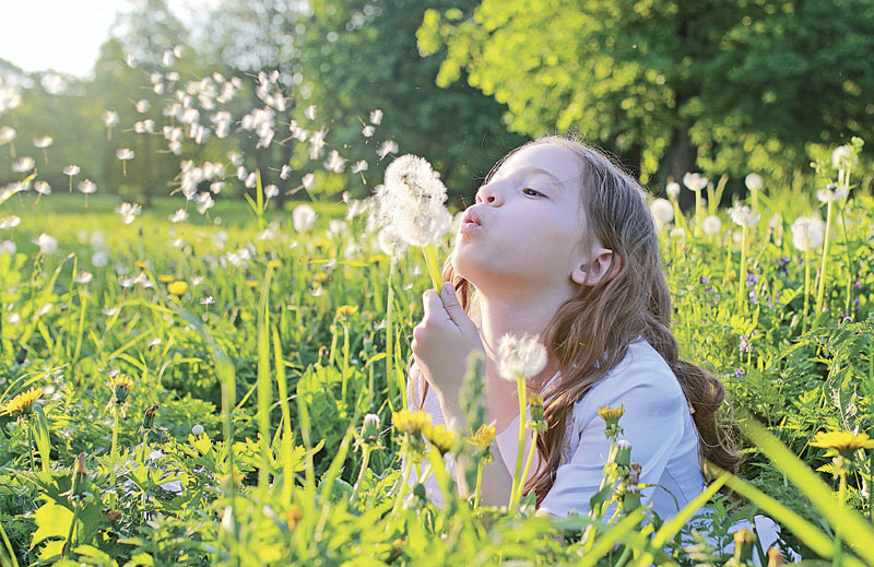 Све више алергичне деце