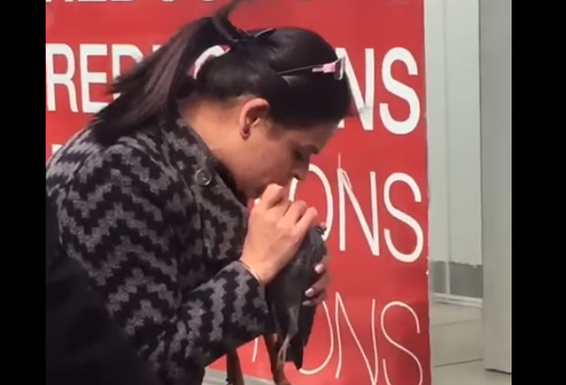 Узалуд покушавала да оживи голуба вештачким дисањем (ВИДЕО)