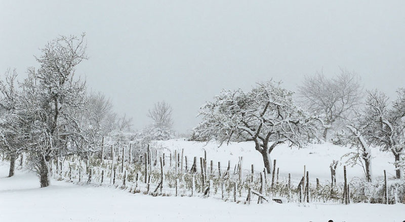 Снег поранио и на северу Црне Горе