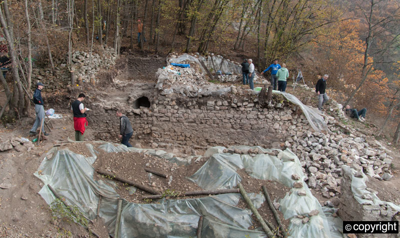 Српска држава и пре Немањића