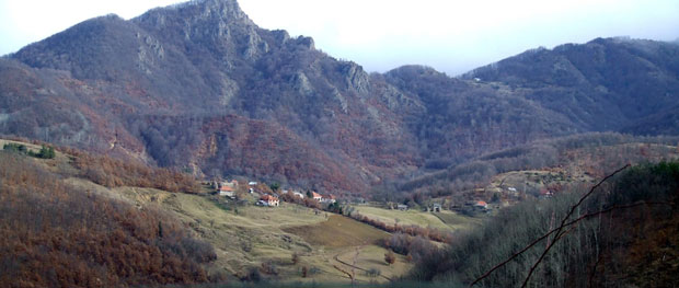 На Рогозни само старци