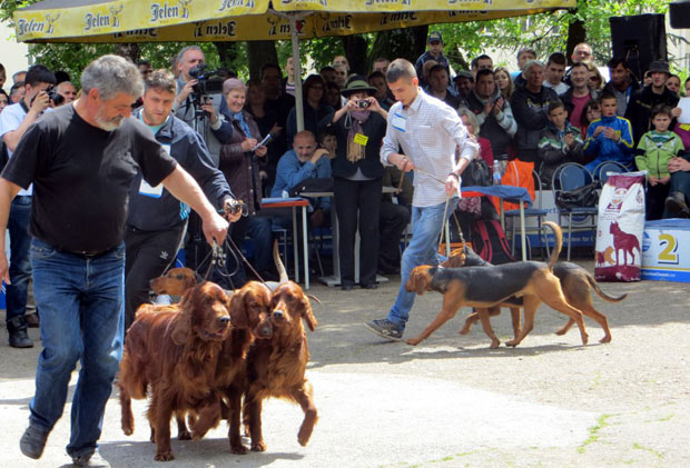 На изложби и пси из Владивостока