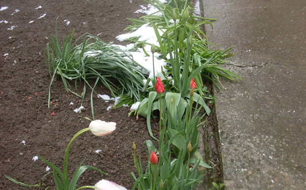 Топлије ове седмице