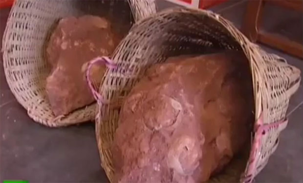 Скамењена јаја диносауруса пронађена у Кини