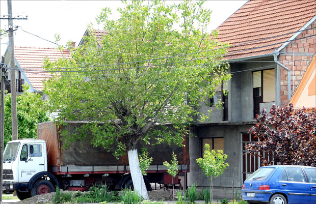 Намерно изазвала превремени порођај?