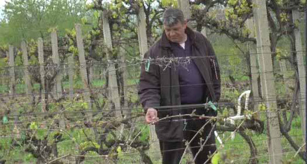 Од приноса остала само једна петина