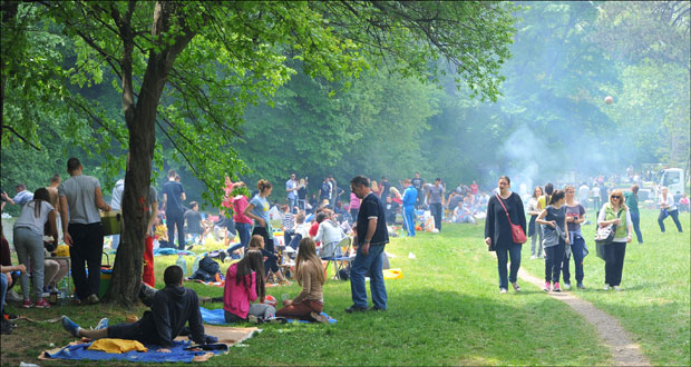 Еколошки уранак у Звездарској шуми