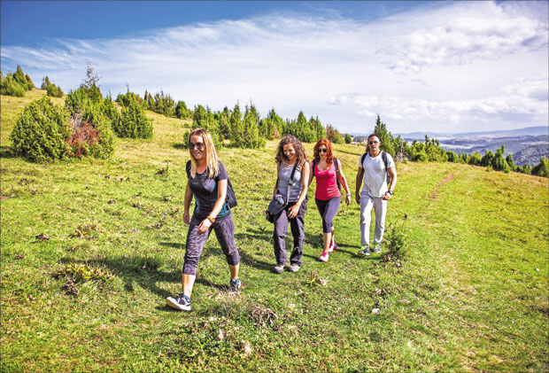 Велики провод за мали одмор