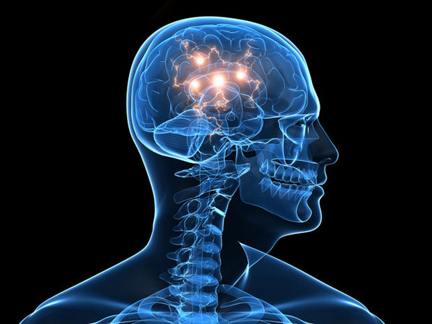 ИТАЛИЈАНСКИ ХИРУРГ: Пресађивање замрзнутог мозга за три године