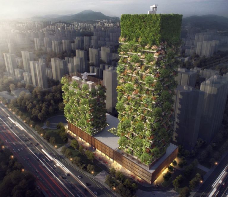 ДА ИХ НЕ УГУШИ СМОГ: Кинези праве вертикалне шуме 