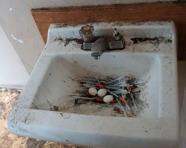 Снела јаја на гнездо од искоришћених шприцева