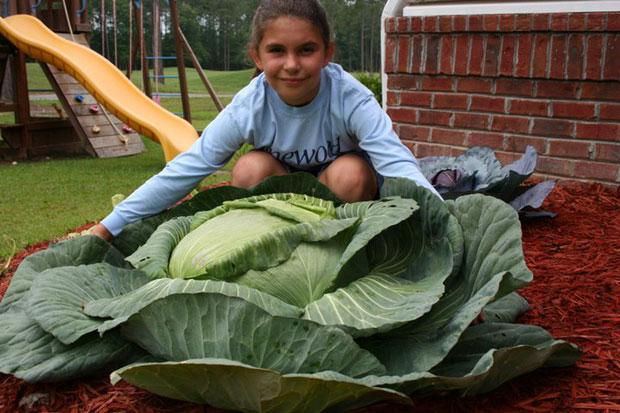 Тинејџерка храни бескућнике својим поврћем