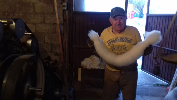 Вуну влачи осам деценија