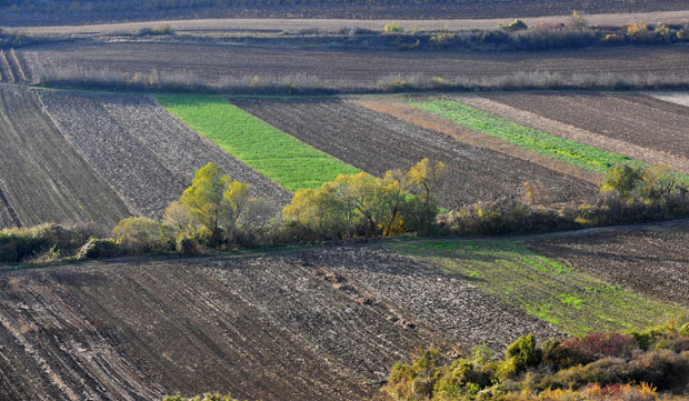 У празним селима празне њиве