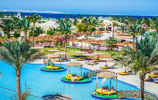 „Пустињска ружа“ која годинама траје и све одушевљава