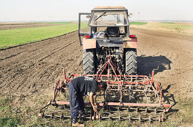 Кршеви на њивама