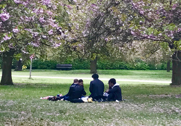 Свети тепих Арашијаме