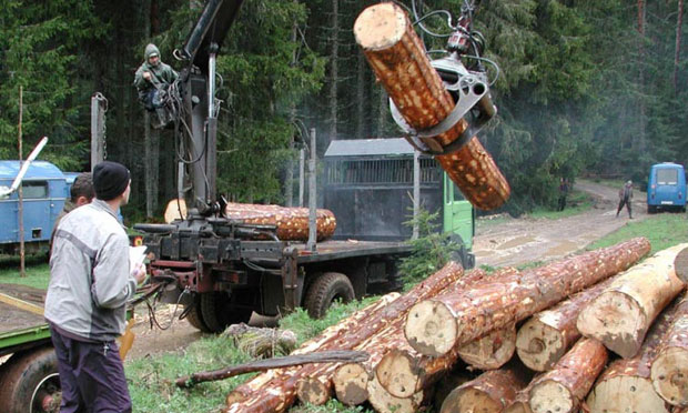 Синдикати поделили шумске раднике