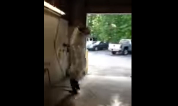 ВИДЕО: Шта радити када вас појури полиција?