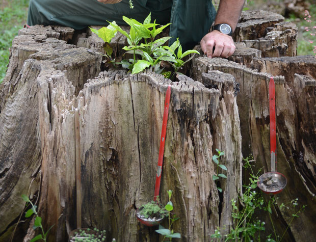 Шта да урадите са старим пањем
