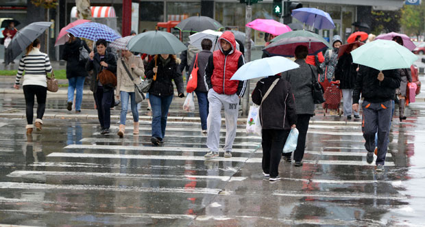 Снег и киша појели зебре