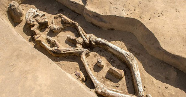 “Костур који плеше” откривен у Русији