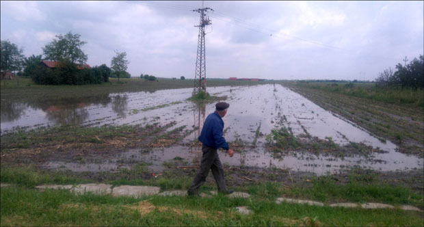 Град исекао шећерну репу