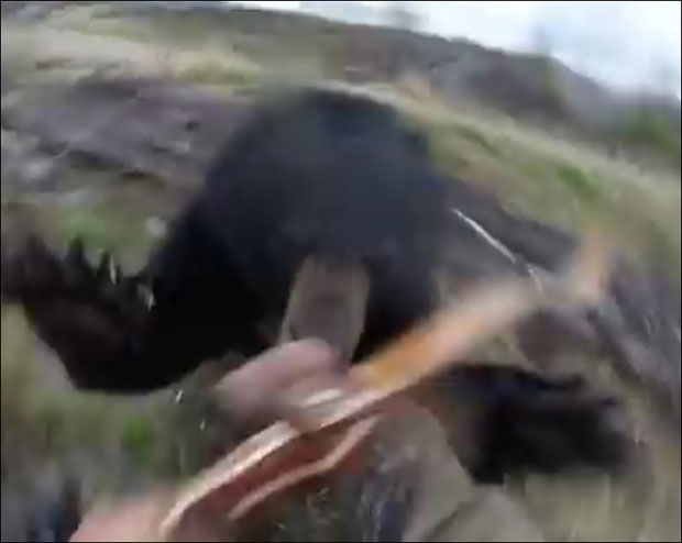 ПОГЛЕДАЈТЕ: Језив тренутак када медвед обара ловца на тло (ВИДЕО)