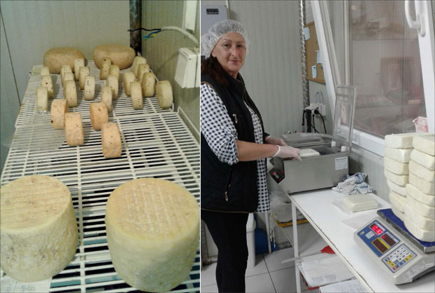 Чипка од тврдог козјег сира