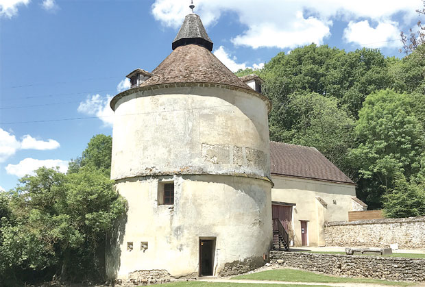 Дивље маргарите и славни јеретици