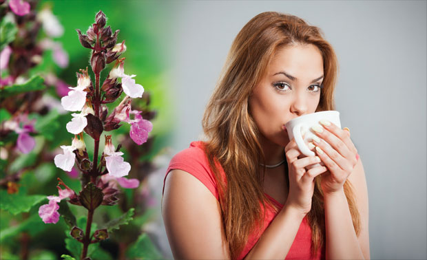 Подубица регенерише жуч, јетру и панкреас