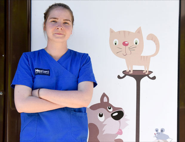 НАСИЉЕ НАД ЖИВОТИЊАМА: Неко убија мачке на зверски начин