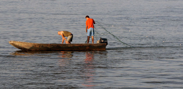 У улцињском акваторијуму: Мртва риба на морском дну!
