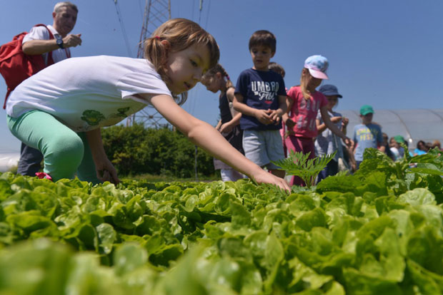 Малишани учили шта је здрава храна