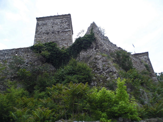 Убица мајке пао у Пироту
